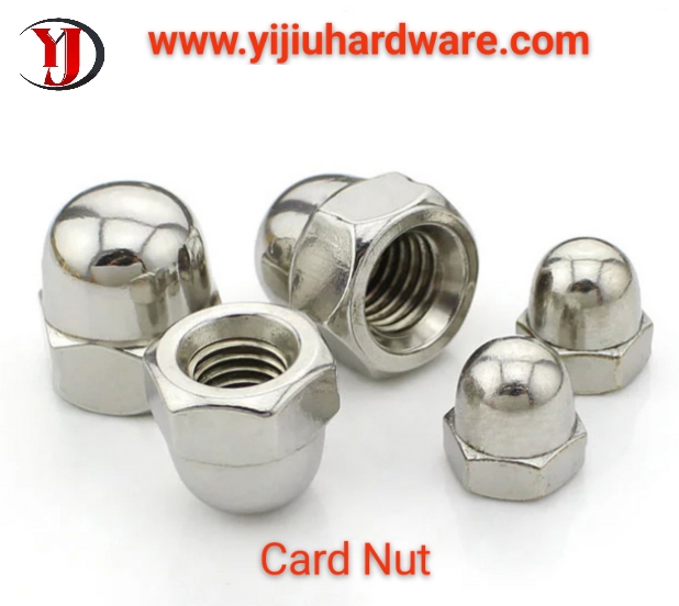 stainless steel Cap nut / Card nut